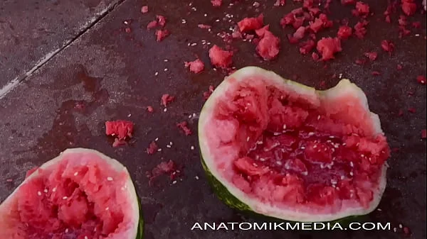 Anatomik Media: What Hole Do You Want It In?